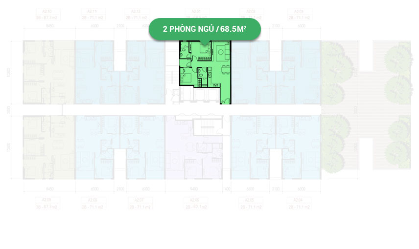 Mặt bằng căn hộ