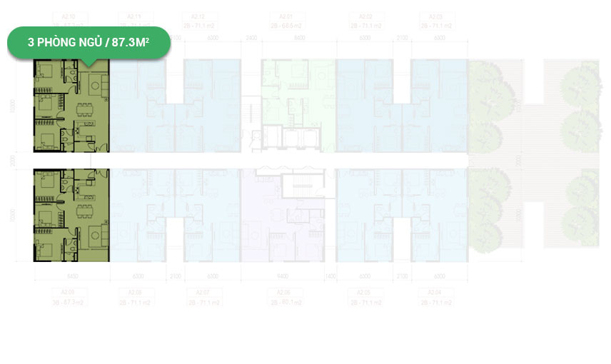 Mặt bằng căn hộ